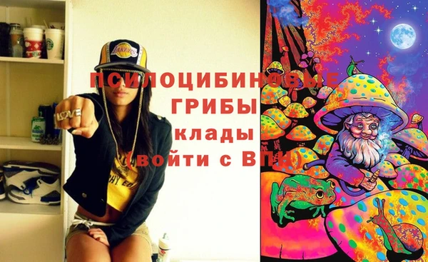 гашик Гусиноозёрск