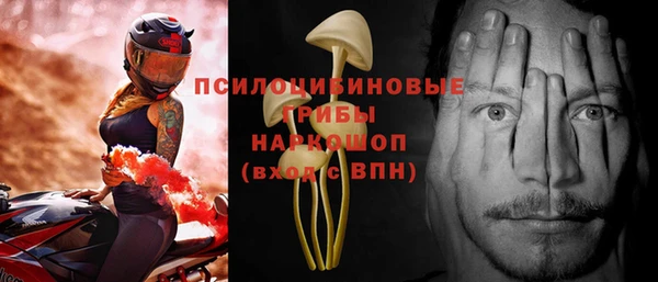 сатива Дмитровск