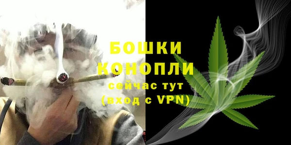 гашик Гусиноозёрск