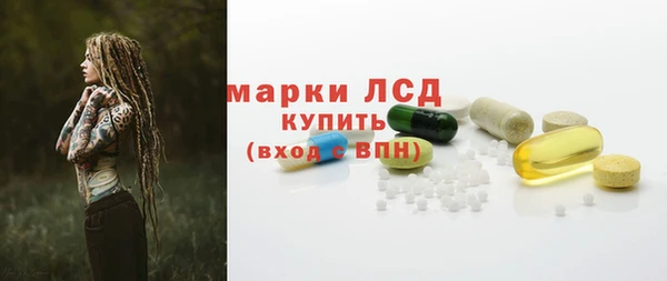 сатива Дмитровск