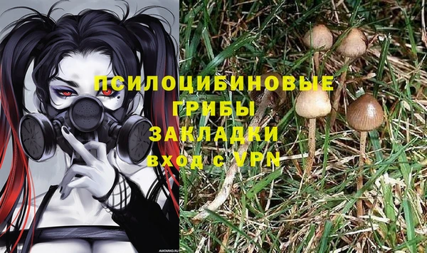 гашик Гусиноозёрск